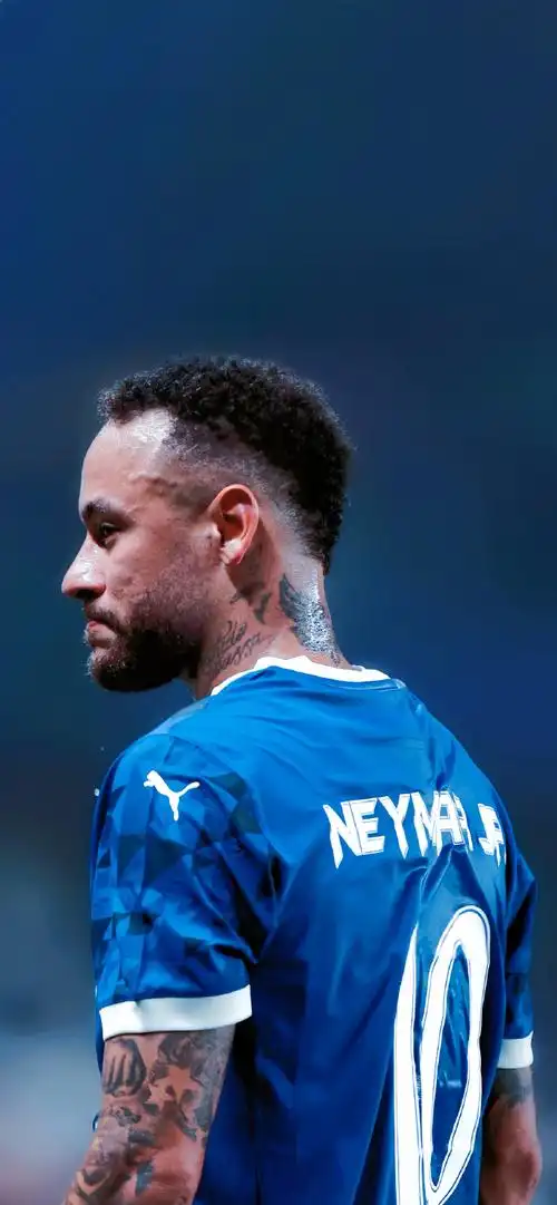 霍金斯的高 霍金斯的高