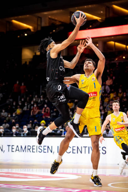 海牛之间的 海牛之间的